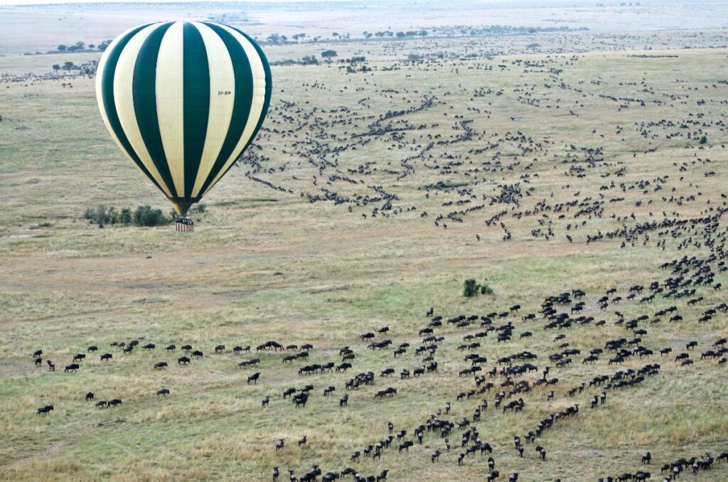 A hot air balloon floats gracefully over the expansive plains of the Masai Mara, with a stunning sunrise painting the sky in hues of orange and pink