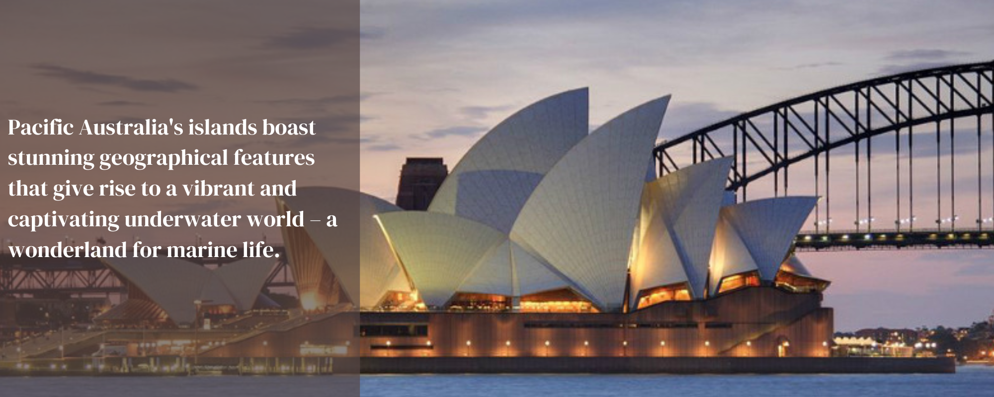 Close-up of Sydney Opera House's distinctive sail-like roofs.