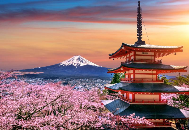 Pagoda overlooking Mount Fuji, Japan.Best Of Cherry Blossom