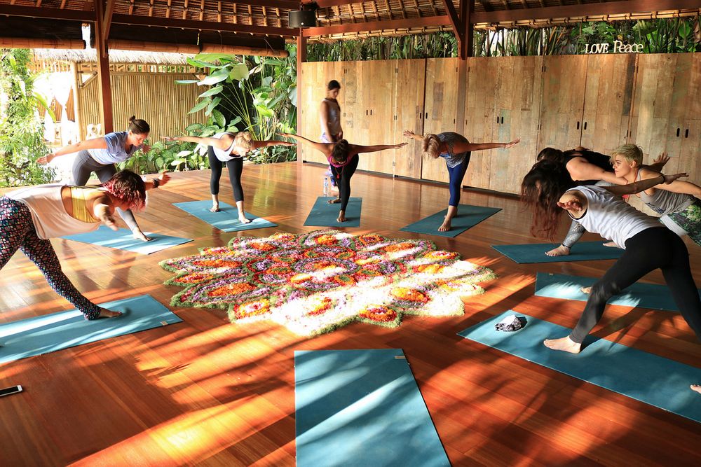 Yoga and meditation sessions, spa treatments, organic farm tours.