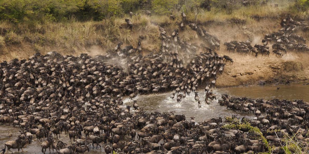 Great Wildebeest Migration Kenya